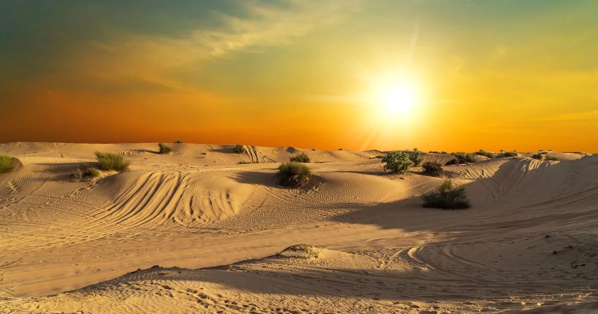 Dubai City Tour